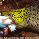 Illustration for article titled These Photos Show the Alien Beauty of Life Underwater
